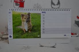 Obrázok galérie článku