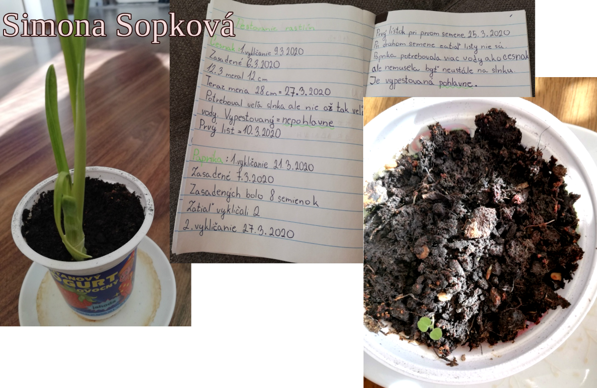 Obrázok galérie článku