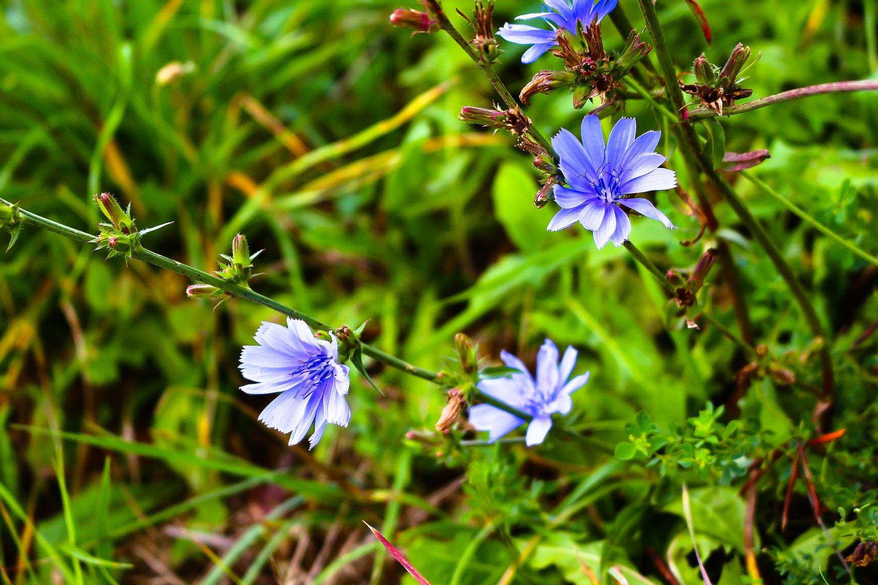 Obrázok galérie článku