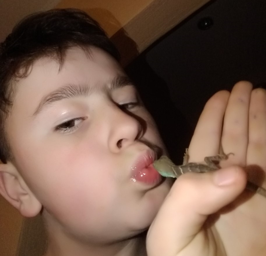 Obrázok galérie článku