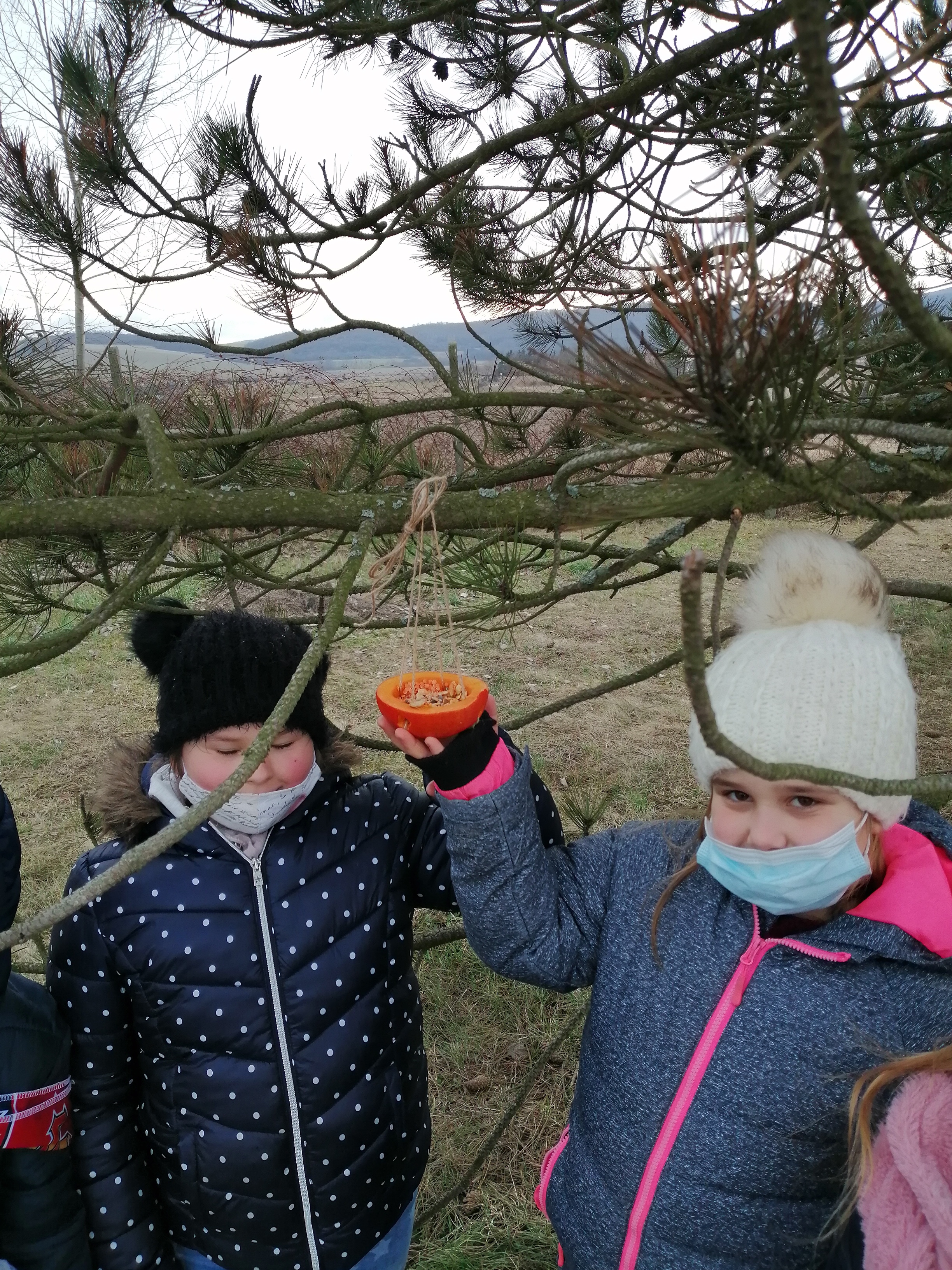 Obrázok galérie článku