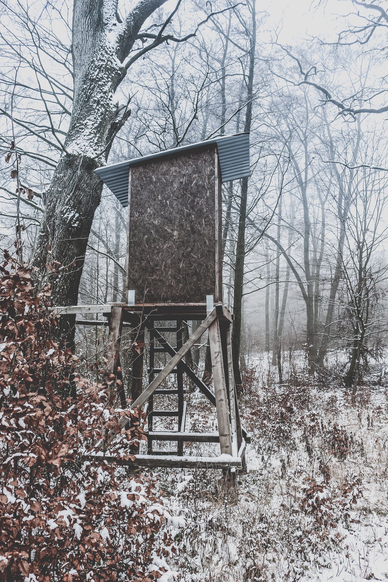 Obrázok galérie článku