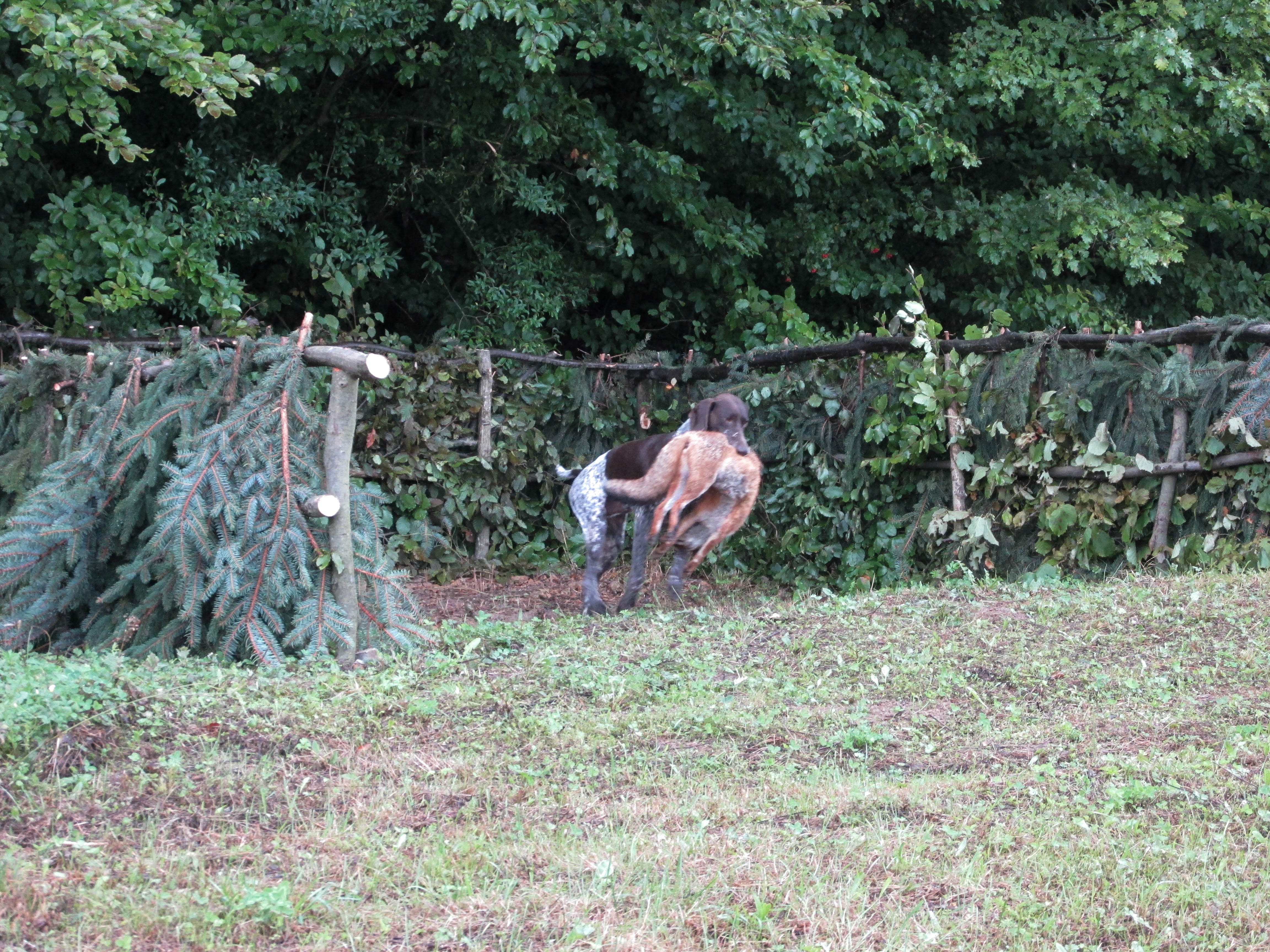 Obrázok galérie článku