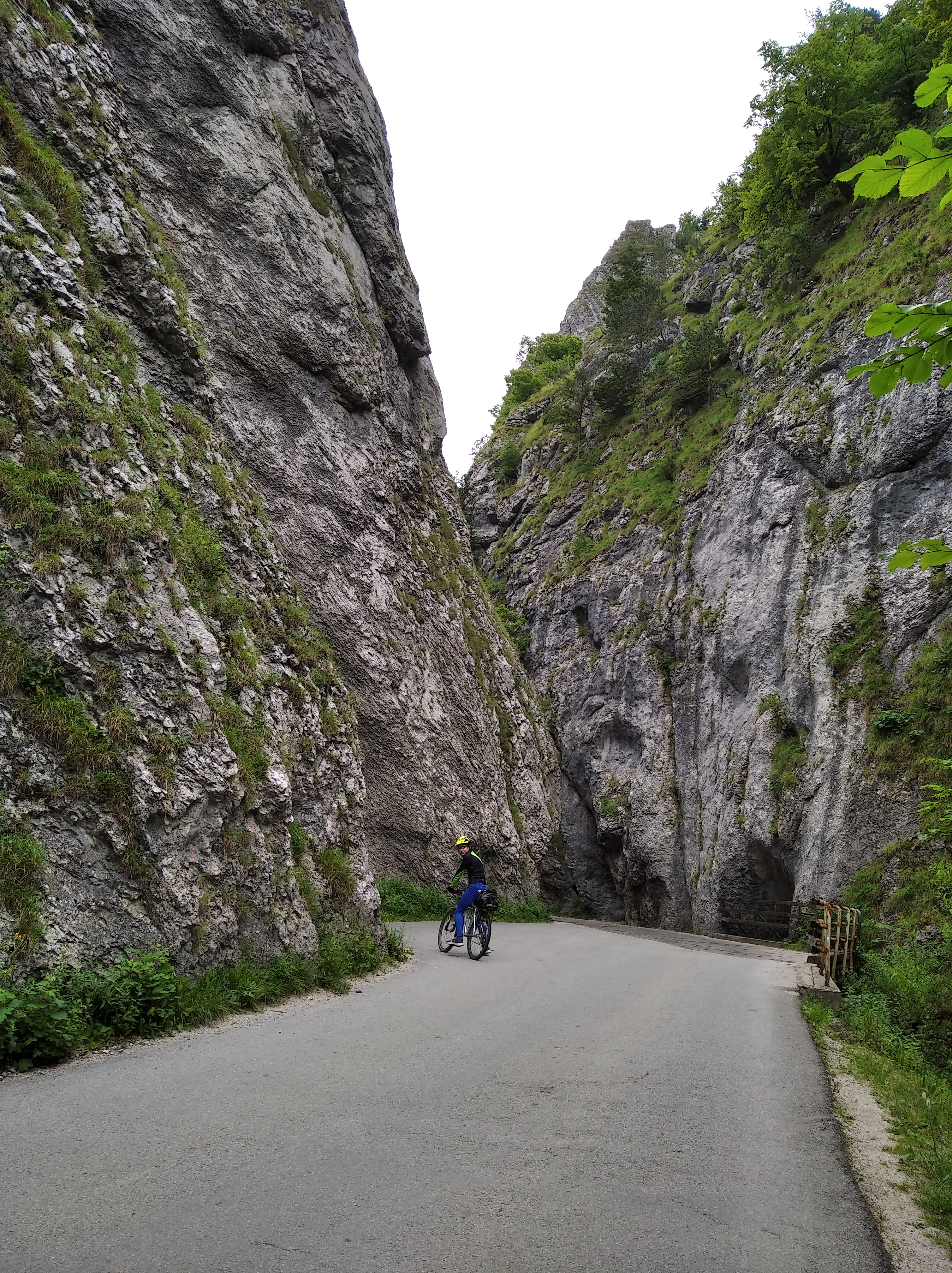 Obrázok galérie článku